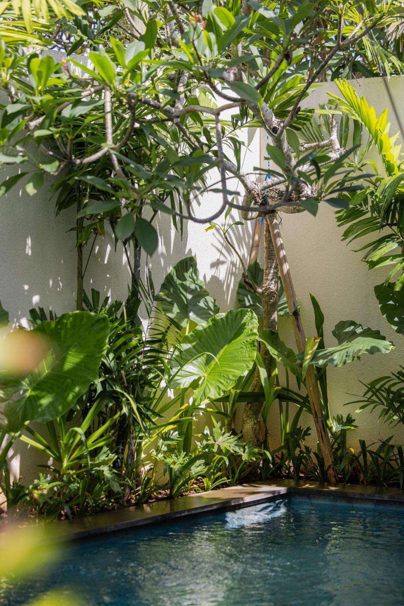 Canang Villas Bingin Uluwatu Zewnętrze zdjęcie